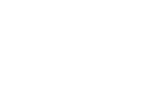 Our Name - Dancing Duck Brewery
